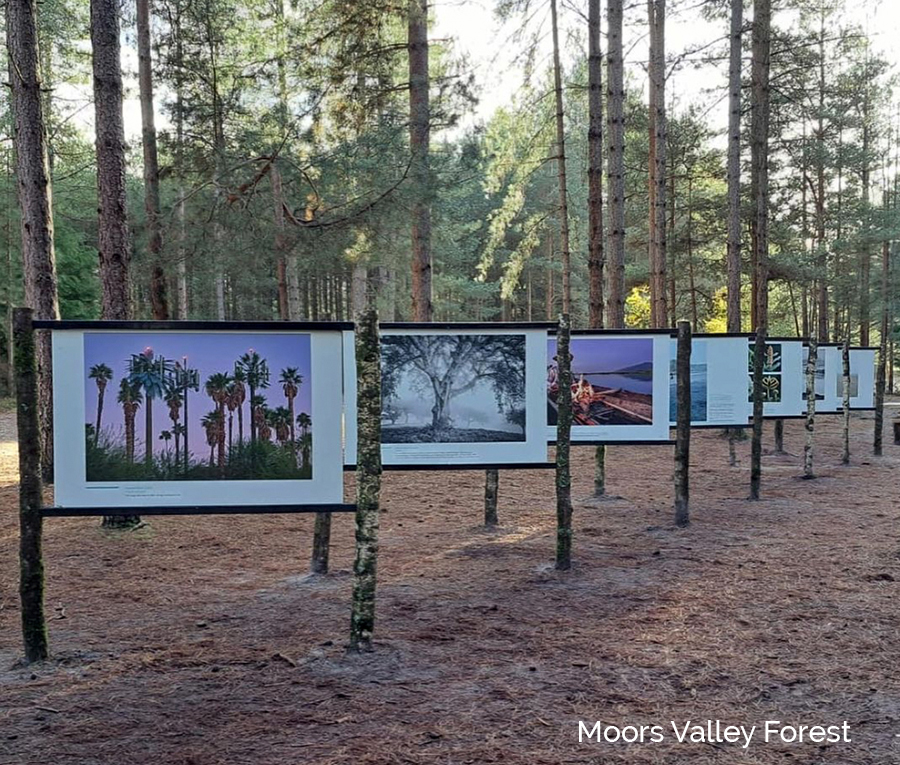 Earth Photo 2023 Installations in the UK